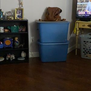 Meet your Posher, Audrey